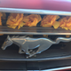 Image for article titled How My 1966 Ford Mustang Nearly Derailed An Indian Wedding